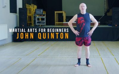 Online Martial Arts for beginners